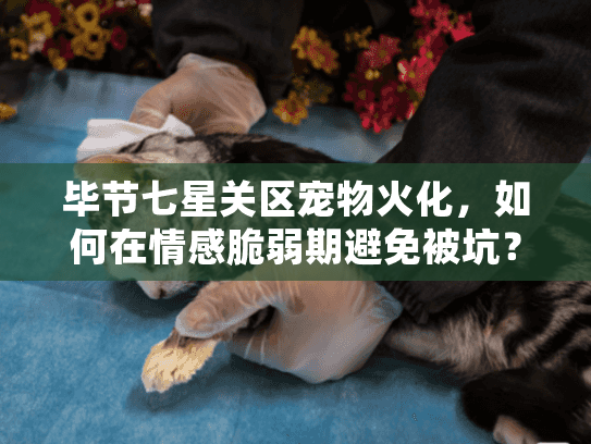 毕节七星关区宠物火化,如何在情感脆弱期避免被坑?揭秘贴心服务秘诀 毕节七星关区宠物火化,如何在情感脆弱期避免被坑?揭秘贴心服务秘诀