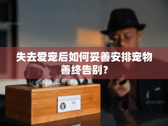失去爱宠后如何妥善安排宠物善终告别？