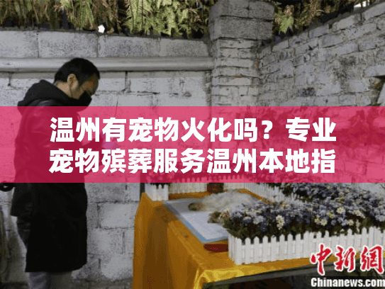 温州有宠物火化吗？专业宠物殡葬服务温州本地指南