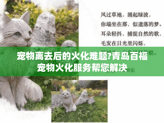 宠物离去后的火化难题?青岛百福宠物火化服务帮您解决
