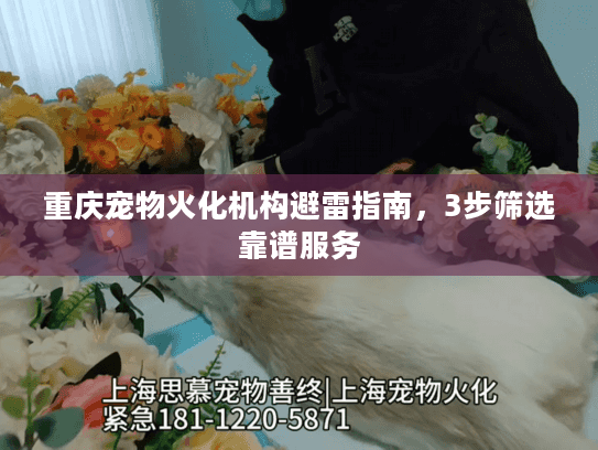 重庆宠物火化机构避雷指南,3步筛选靠谱服务 重庆宠物火化机构避雷指南,3步筛选靠谱服务