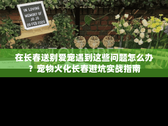 在长春送别爱宠遇到这些问题怎么办？宠物火化长春避坑实战指南