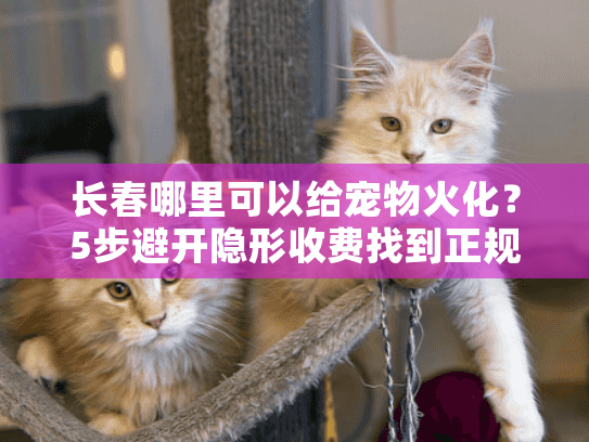 长春哪里可以给宠物火化？5步避开隐形收费找到正规机构