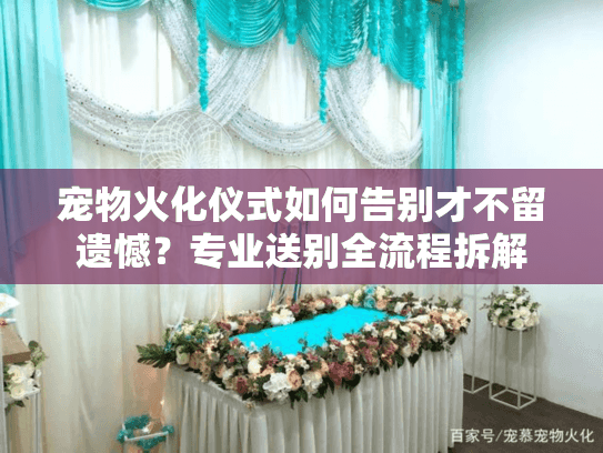 宠物火化仪式如何告别才不留遗憾？专业送别全流程拆解