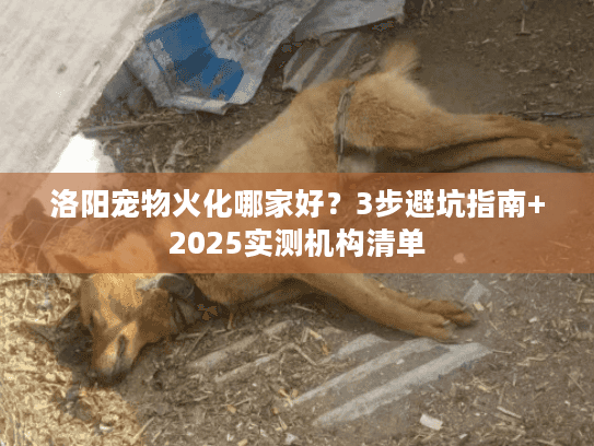 洛阳宠物火化哪家好？3步避坑指南+2025实测机构清单