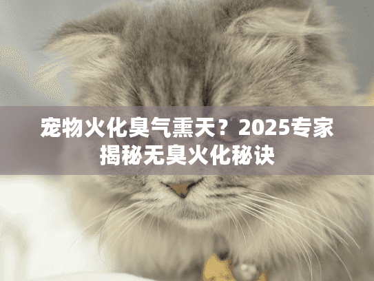 宠物火化臭气熏天？2025专家揭秘无臭火化秘诀
