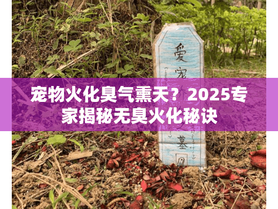 宠物火化臭气熏天？2025专家揭秘无臭火化秘诀
