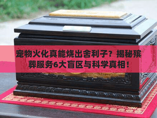 宠物火化真能烧出舍利子？揭秘殡葬服务6大盲区与科学真相！