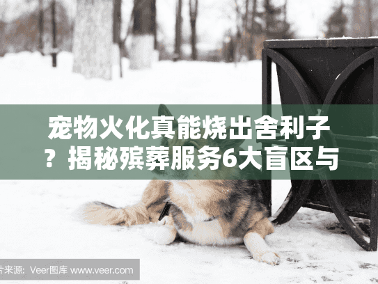 宠物火化真能烧出舍利子？揭秘殡葬服务6大盲区与科学真相！