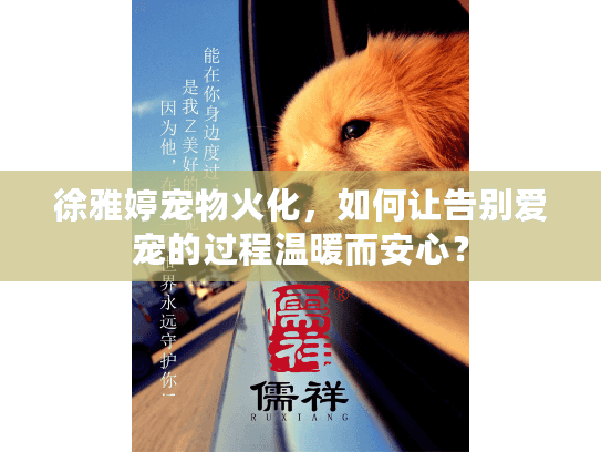徐雅婷宠物火化，如何让告别爱宠的过程温暖而安心？