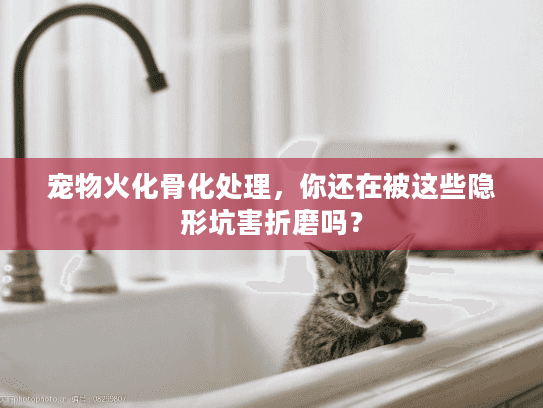 宠物火化骨化处理，你还在被这些隐形坑害折磨吗？