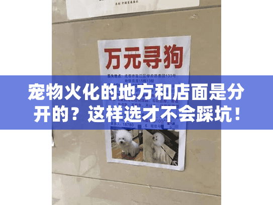 宠物火化的地方和店面是分开的？这样选才不会踩坑！