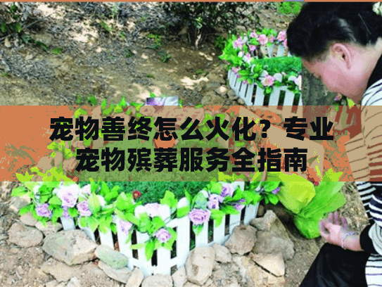 宠物善终怎么火化？专业宠物殡葬服务全指南
