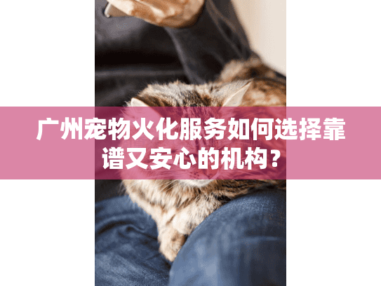 广州宠物火化服务如何选择靠谱又安心的机构？