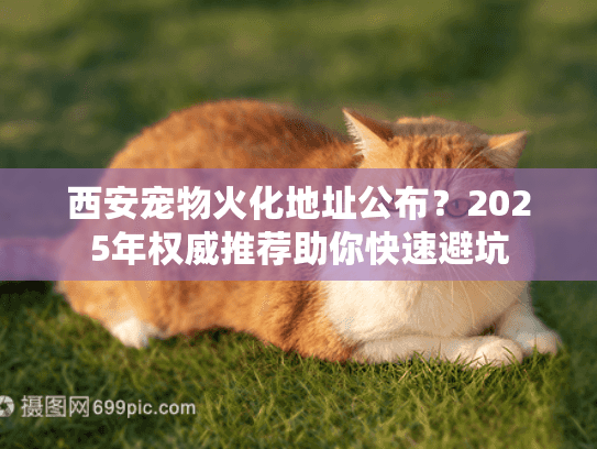 西安宠物火化地址公布？2025年权威推荐助你快速避坑