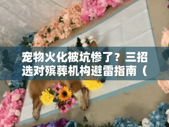 宠物火化被坑惨了?三招选对殡葬机构避雷指南(2025亲测) 宠物火化被坑惨了?三招选对殡葬机构避雷指南(2025亲测)