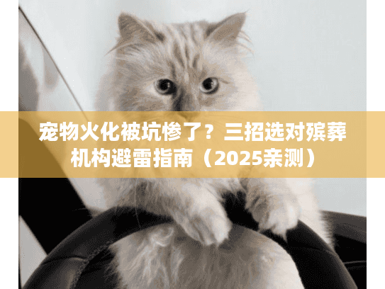 宠物火化被坑惨了?三招选对殡葬机构避雷指南(2025亲测) 宠物火化被坑惨了?三招选对殡葬机构避雷指南(2025亲测)