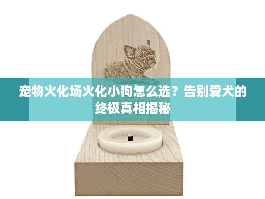 宠物火化场火化小狗怎么选？告别爱犬的终极真相揭秘