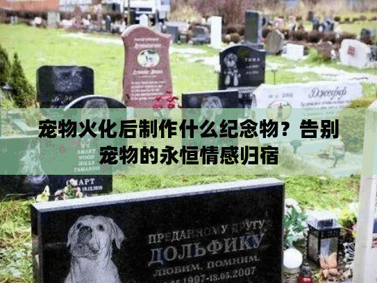 宠物火化后制作什么纪念物？告别宠物的永恒情感归宿