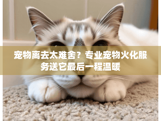 宠物离去太难舍？专业宠物火化服务送它最后一程温暖