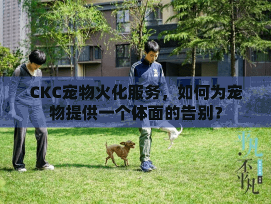 CKC宠物火化服务，如何为宠物提供一个体面的告别？