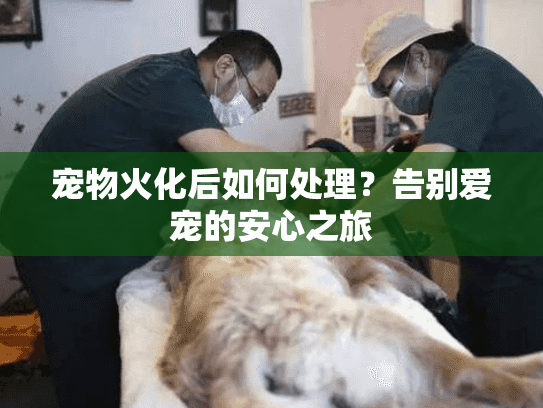宠物火化后如何处理？告别爱宠的安心之旅