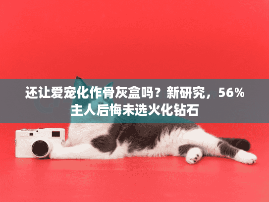 还让爱宠化作骨灰盒吗？新研究，56%主人后悔未选火化钻石