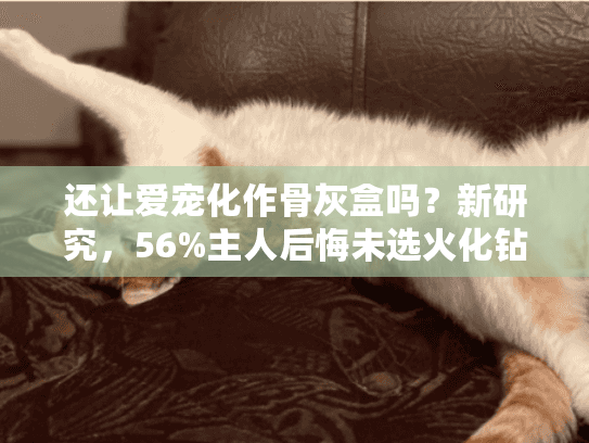 还让爱宠化作骨灰盒吗？新研究，56%主人后悔未选火化钻石