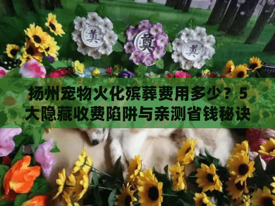 扬州宠物火化殡葬费用多少？5大隐藏收费陷阱与亲测省钱秘诀
