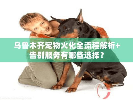乌鲁木齐宠物火化全流程解析+告别服务有哪些选择？