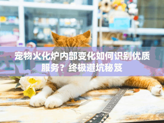 宠物火化炉内部变化如何识别优质服务？终极避坑秘笈