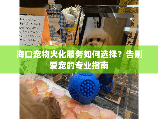 海口宠物火化服务如何选择？告别爱宠的专业指南