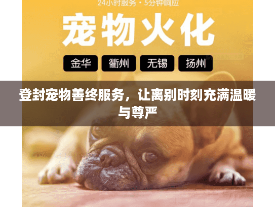 登封宠物善终服务，让离别时刻充满温暖与尊严
