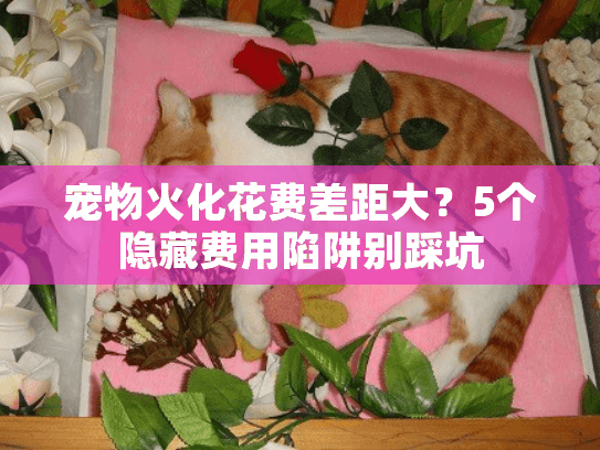 宠物火化花费差距大?5个隐藏费用陷阱别踩坑 宠物火化花费差距大?5个隐藏费用陷阱别踩坑