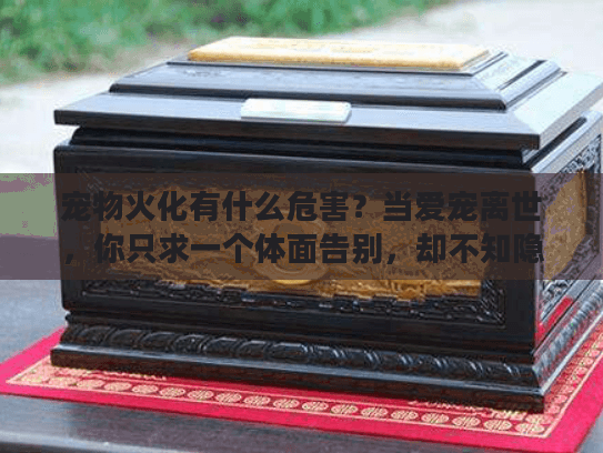 宠物火化有什么危害？当爱宠离世，你只求一个体面告别，却不知隐藏风险正悄然逼近
