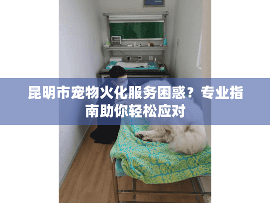 昆明市宠物火化服务困惑？专业指南助你轻松应对