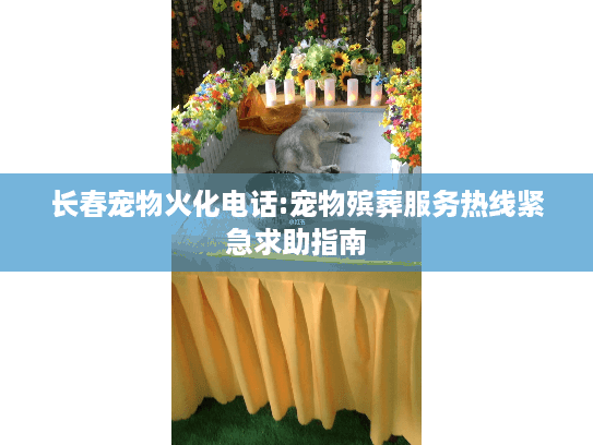 长春宠物火化电话:宠物殡葬服务热线紧急求助指南
