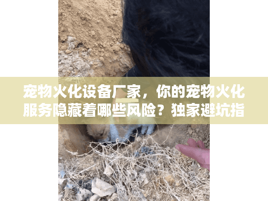 宠物火化设备厂家，你的宠物火化服务隐藏着哪些风险？独家避坑指南）
