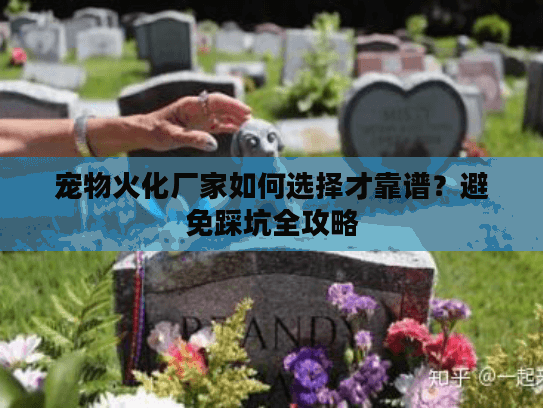 宠物火化厂家如何选择才靠谱？避免踩坑全攻略