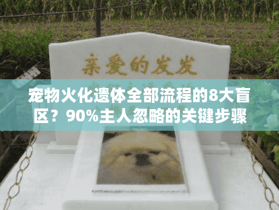 宠物火化遗体全部流程的8大盲区？90%主人忽略的关键步骤