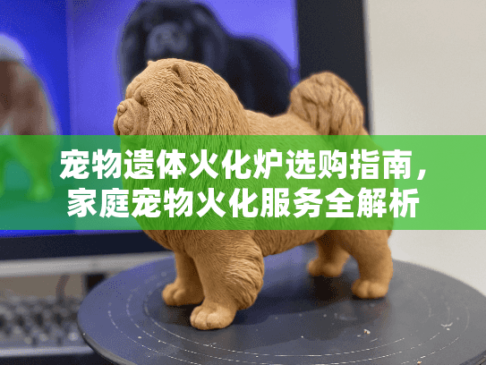 宠物遗体火化炉选购指南，家庭宠物火化服务全解析