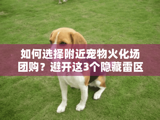 如何选择附近宠物火化场团购？避开这3个隐藏雷区