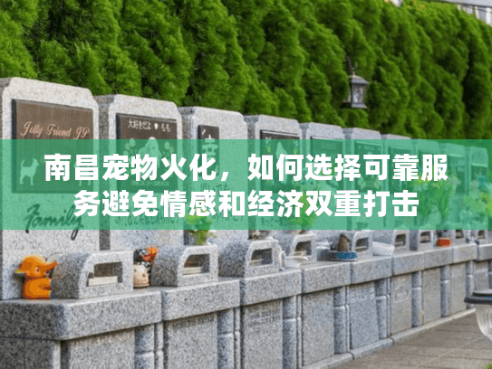 南昌宠物火化，如何选择可靠服务避免情感和经济双重打击