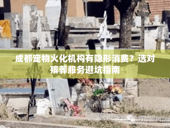 成都宠物火化机构有隐形消费?选对殡葬服务避坑指南 成都宠物火化机构有隐形消费?选对殡葬服务避坑指南