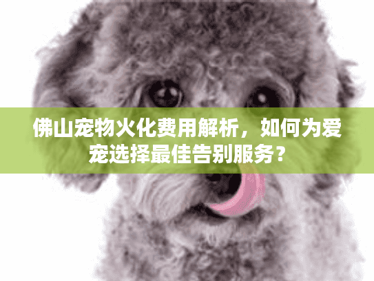 佛山宠物火化费用解析，如何为爱宠选择最佳告别服务？