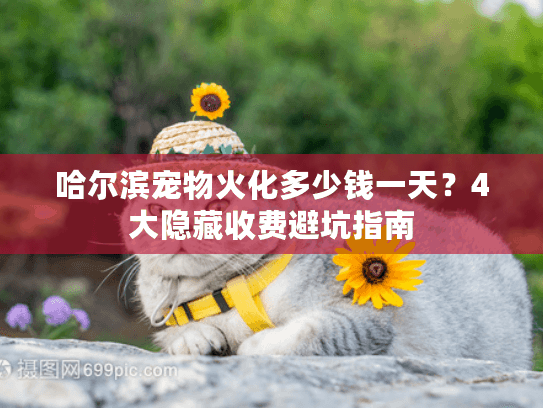 哈尔滨宠物火化多少钱一天?4大隐藏收费避坑指南 哈尔滨宠物火化多少钱一天?4大隐藏收费避坑指南