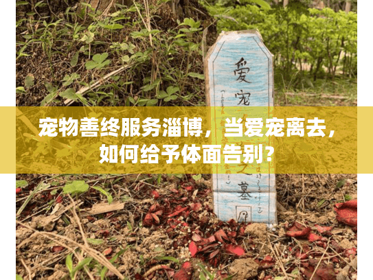 宠物善终服务淄博，当爱宠离去，如何给予体面告别？