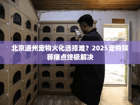 北京通州宠物火化选择难？2025宠物殡葬痛点终极解决