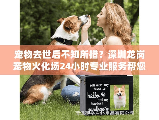 宠物去世后不知所措？深圳龙岗宠物火化场24小时专业服务帮您解决