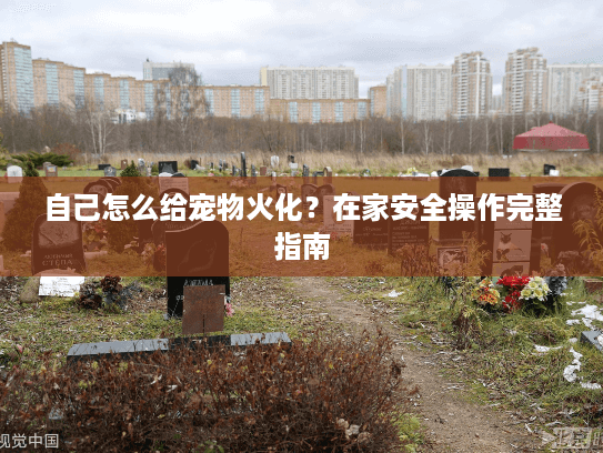 自己怎么给宠物火化？在家安全操作完整指南